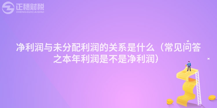 净利润与未分配利润的关系是什么（常见问答之本年利润是不是净利润）
