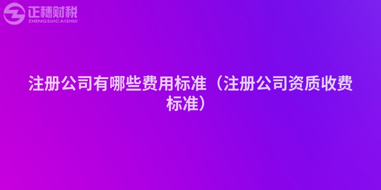注册公司有哪些费用标准（注册公司资质收费标准）