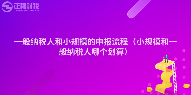 一般纳税人和小规模的申报流程（小规模和一般纳税人哪个划算）