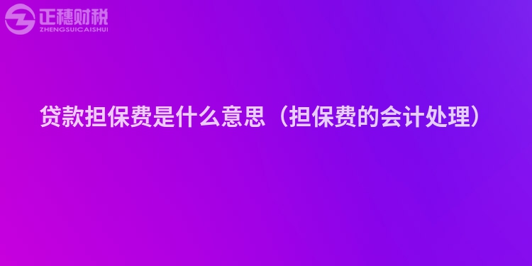 贷款担保费是什么意思（担保费的会计处理）