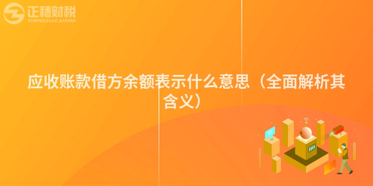 应收账款借方余额表示什么意思（全面解析其含义）