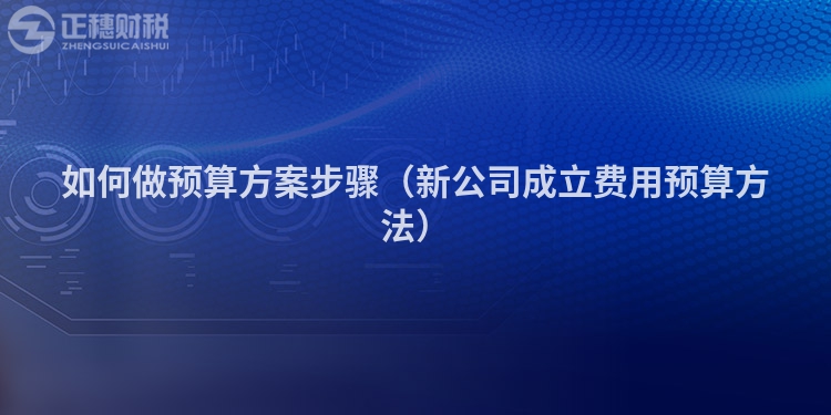 如何做预算方案步骤（新公司成立费用预算方法）