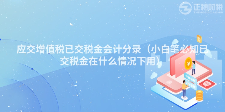 应交增值税已交税金会计分录（小白笔必知已交税金在什么情况下用）