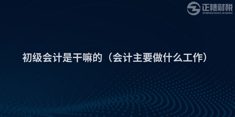 初级会计是干嘛的（会计主要做什么工作）