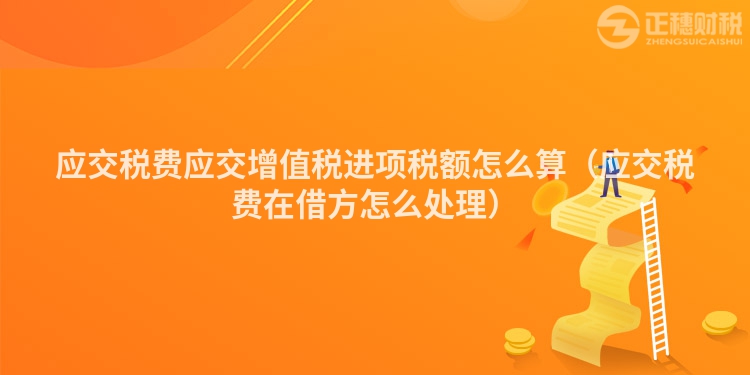 应交税费应交增值税进项税额怎么算（应交税费在借方怎么处理）