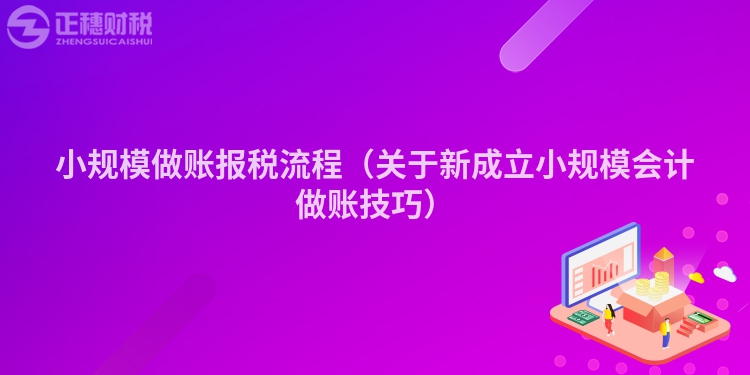 小规模做账报税流程（关于新成立小规模会计做账技巧）