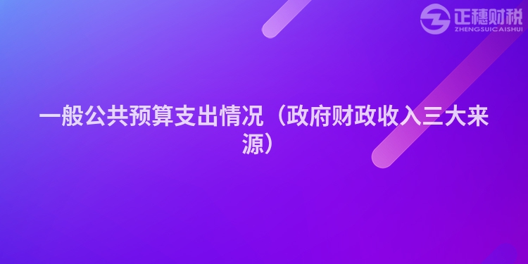 一般公共预算支出情况（政府财政收入三大来源）