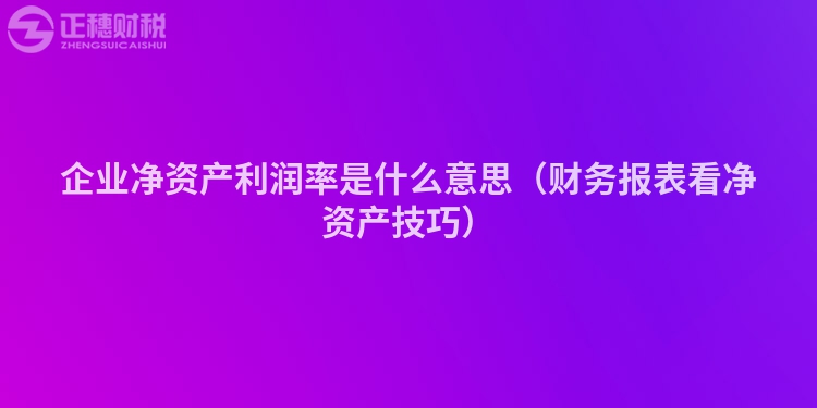 企业净资产利润率是什么意思（财务报表看净资产技巧）