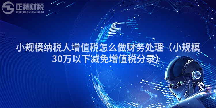 小规模纳税人增值税怎么做财务处理（小规模30万以下减免增值税分录）