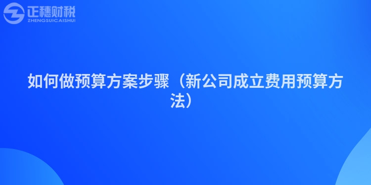 如何做预算方案步骤（新公司成立费用预算方法）