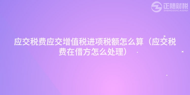 应交税费应交增值税进项税额怎么算（应交税费在借方怎么处理）