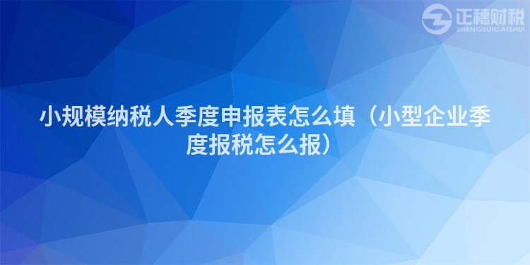 小规模纳税人季度申报表怎么填（小型企业季度报税怎么报）