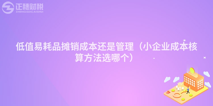 低值易耗品摊销成本还是管理（小企业成本核算方法选哪个）