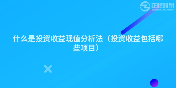 什么是投资收益现值分析法（投资收益包括哪些项目）