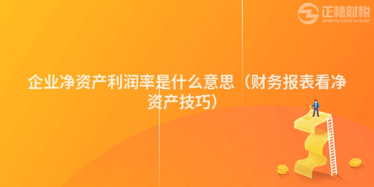 企业净资产利润率是什么意思（财务报表看净资产技巧）