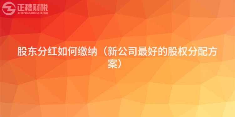 股东分红如何缴纳（新公司最好的股权分配方案）