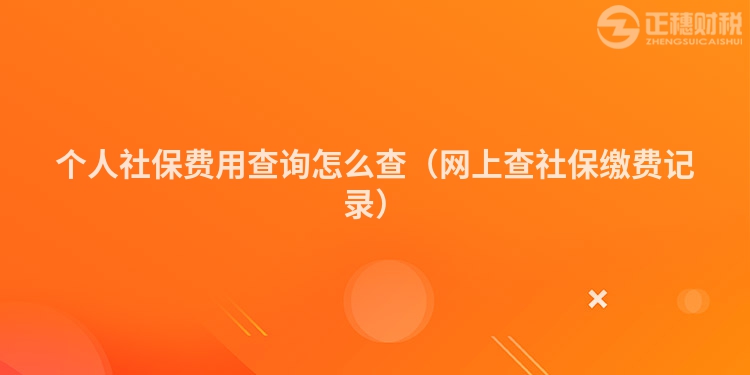 个人社保费用查询怎么查（网上查社保缴费记录）